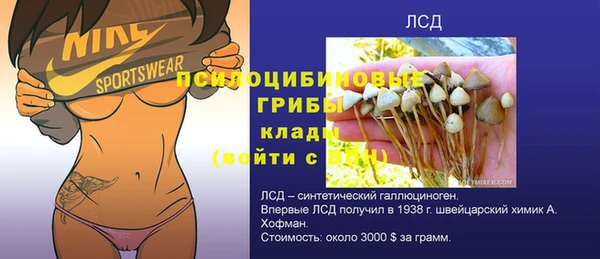 крисы Липки
