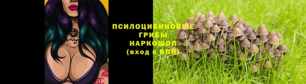 ПСИЛОЦИБИНОВЫЕ ГРИБЫ Лихославль