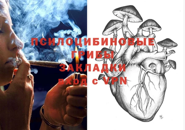 гашик Лиски