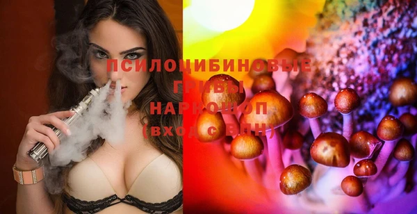 гашик Лиски
